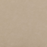 Polo 01