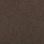 Polo 04