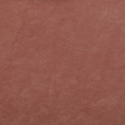 Polo 05