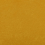 Polo 06