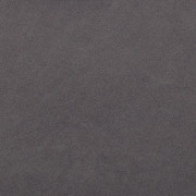 Polo 10