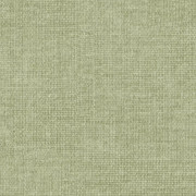 Wind 31