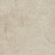 Nevada ivory