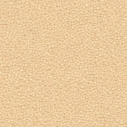 sand 40_fabric_